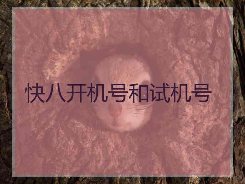 快八开机号和试机号