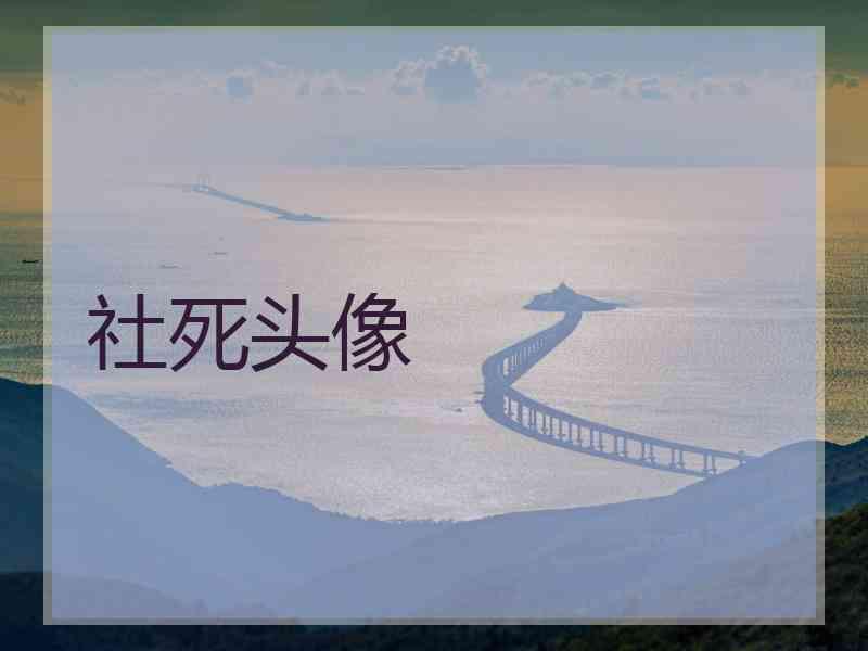 社死头像