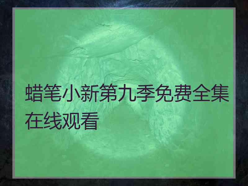 蜡笔小新第九季免费全集在线观看