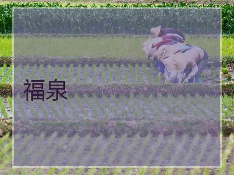 福泉