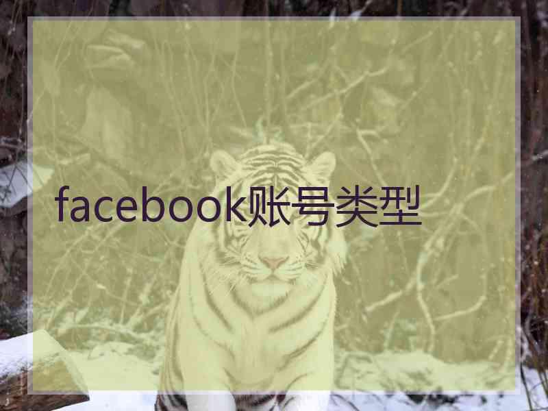 facebook账号类型