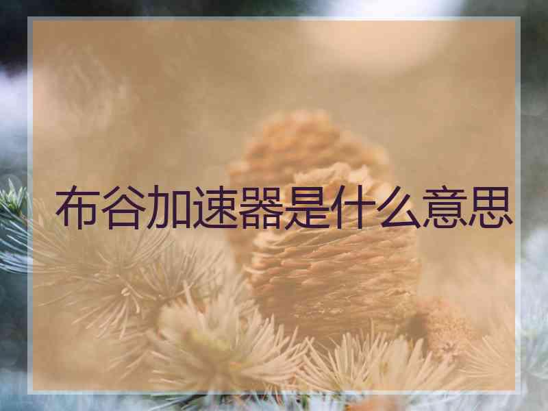 布谷加速器是什么意思