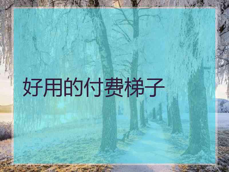 好用的付费梯子