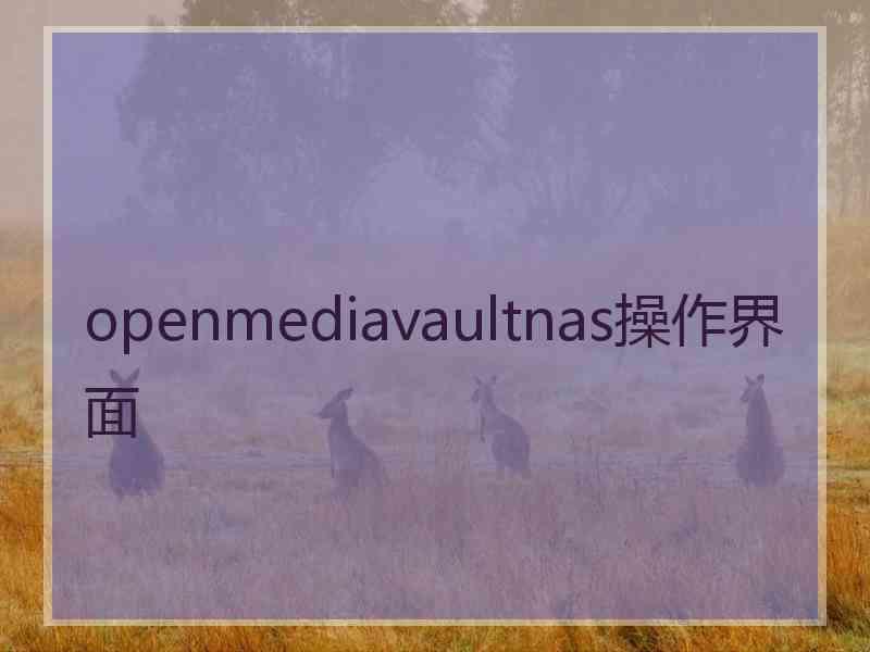 openmediavaultnas操作界面