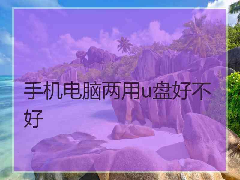 手机电脑两用u盘好不好