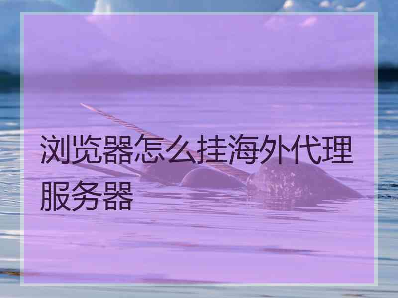 浏览器怎么挂海外代理服务器