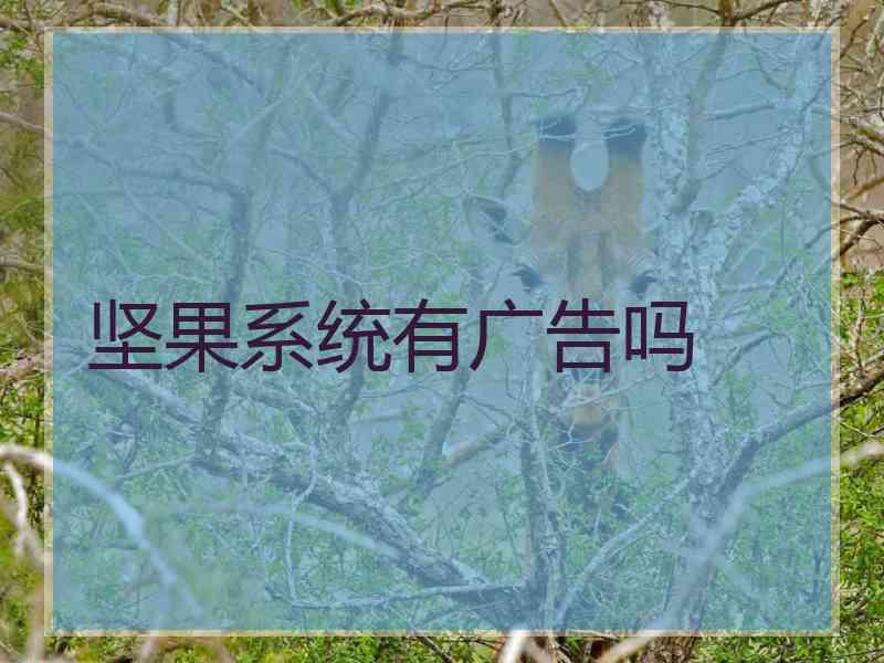 坚果系统有广告吗
