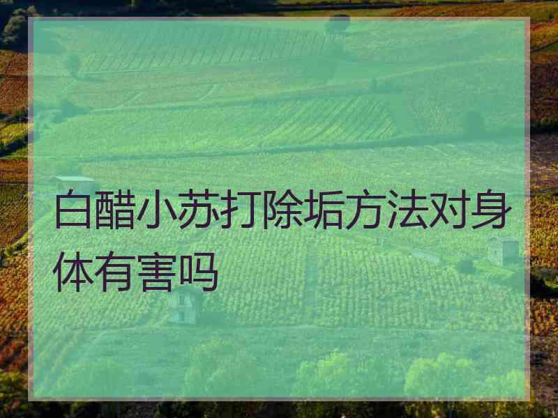 白醋小苏打除垢方法对身体有害吗