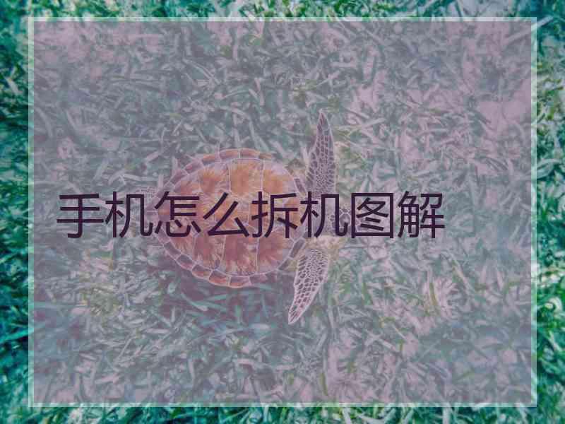 手机怎么拆机图解