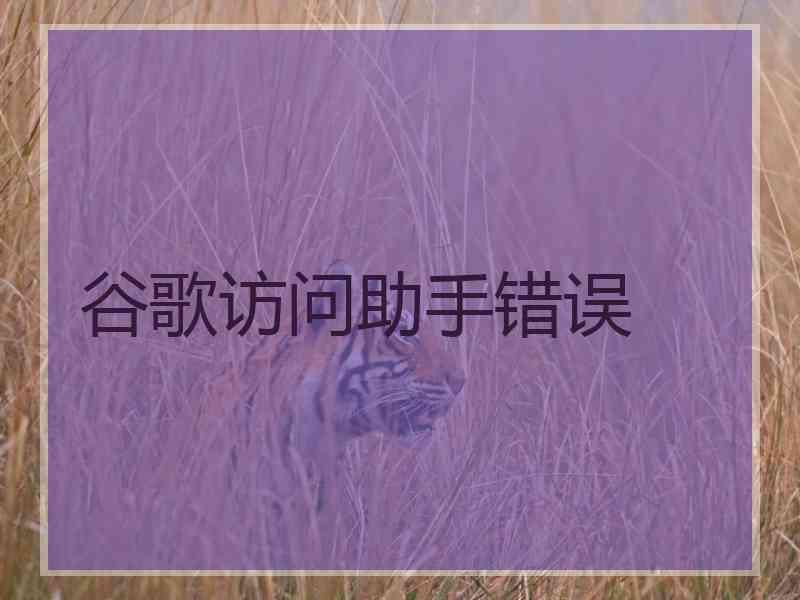 谷歌访问助手错误
