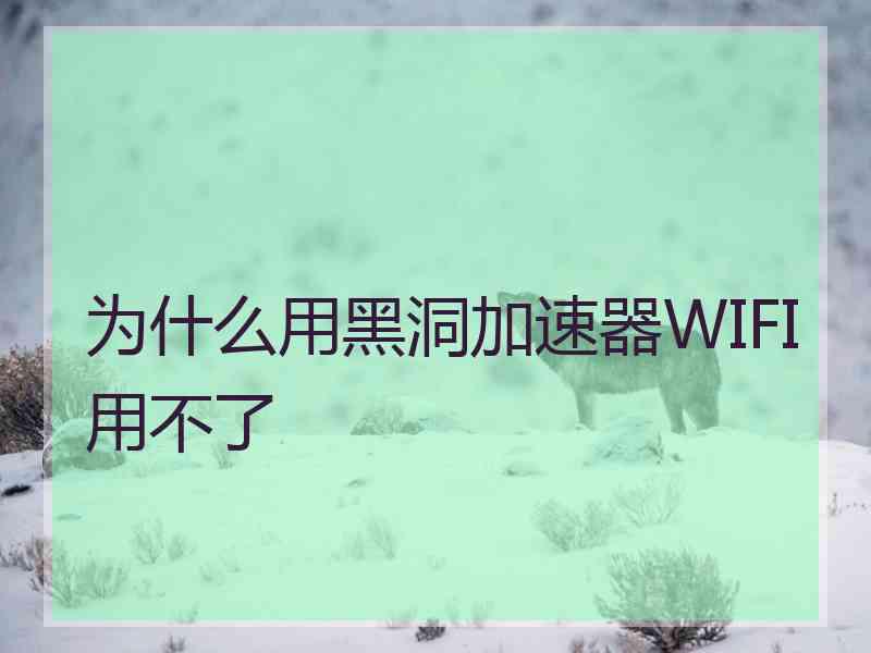 为什么用黑洞加速器WIFI用不了