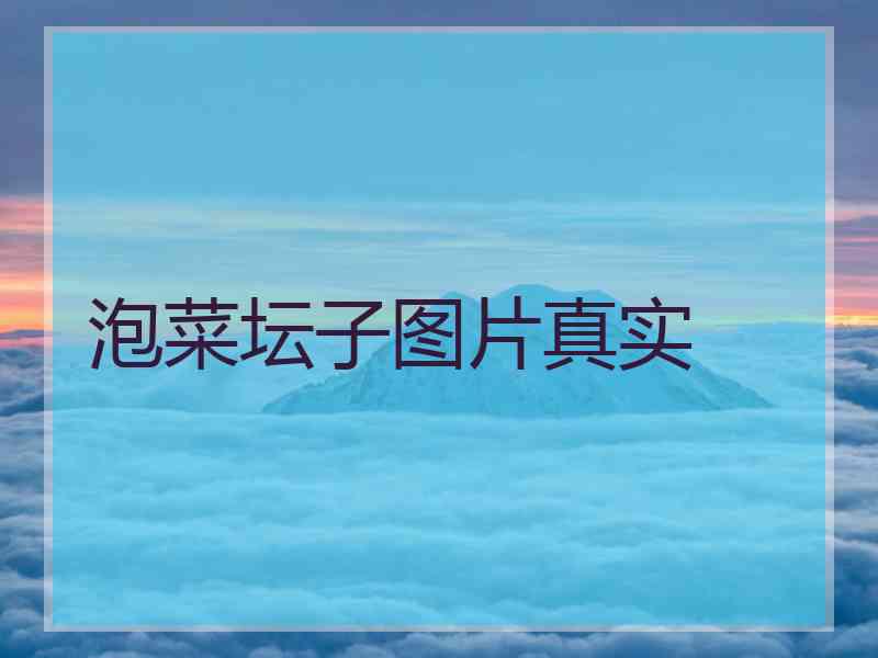 泡菜坛子图片真实