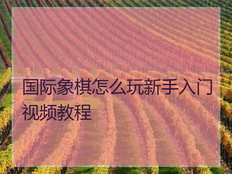 国际象棋怎么玩新手入门视频教程