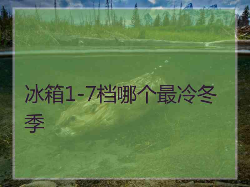 冰箱1-7档哪个最冷冬季