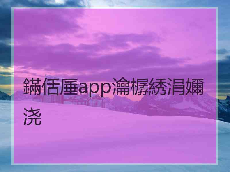 鏋佸厜app瀹樼綉涓嬭浇