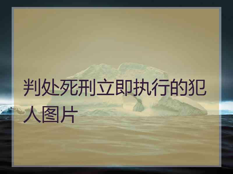判处死刑立即执行的犯人图片