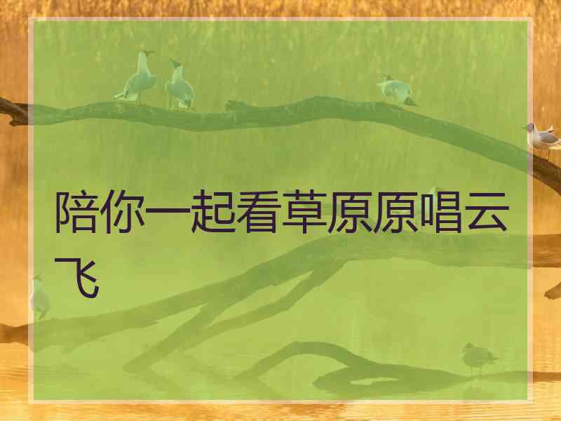 陪你一起看草原原唱云飞