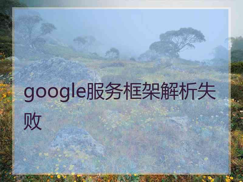 google服务框架解析失败