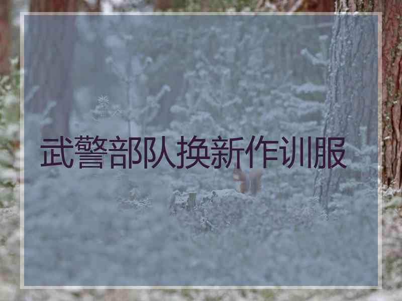 武警部队换新作训服