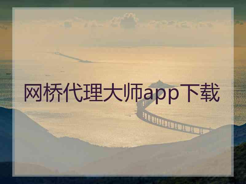 网桥代理大师app下载