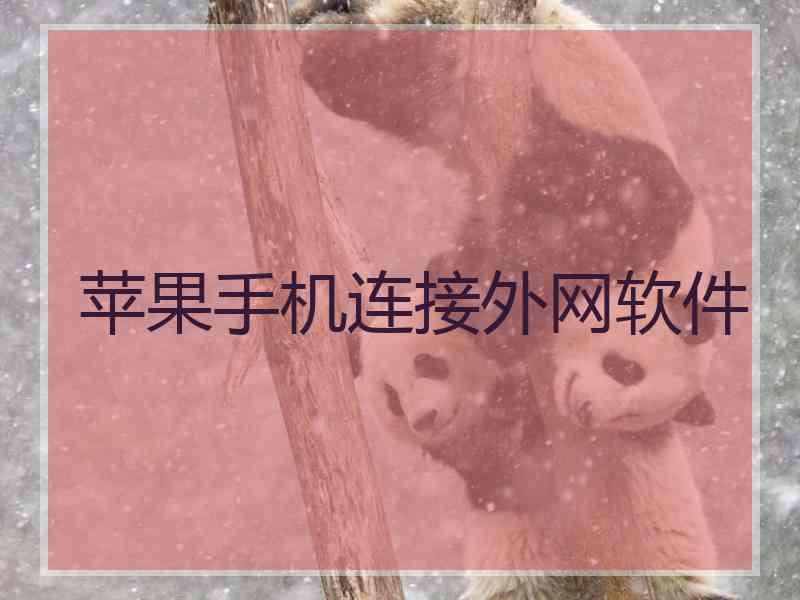 苹果手机连接外网软件