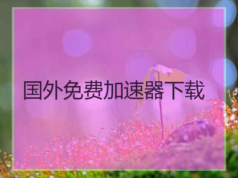 国外免费加速器下载