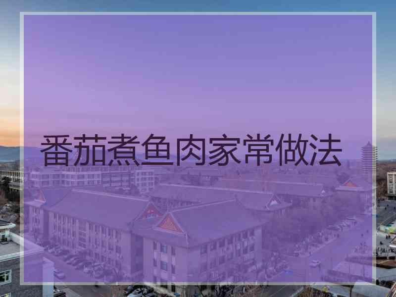 番茄煮鱼肉家常做法