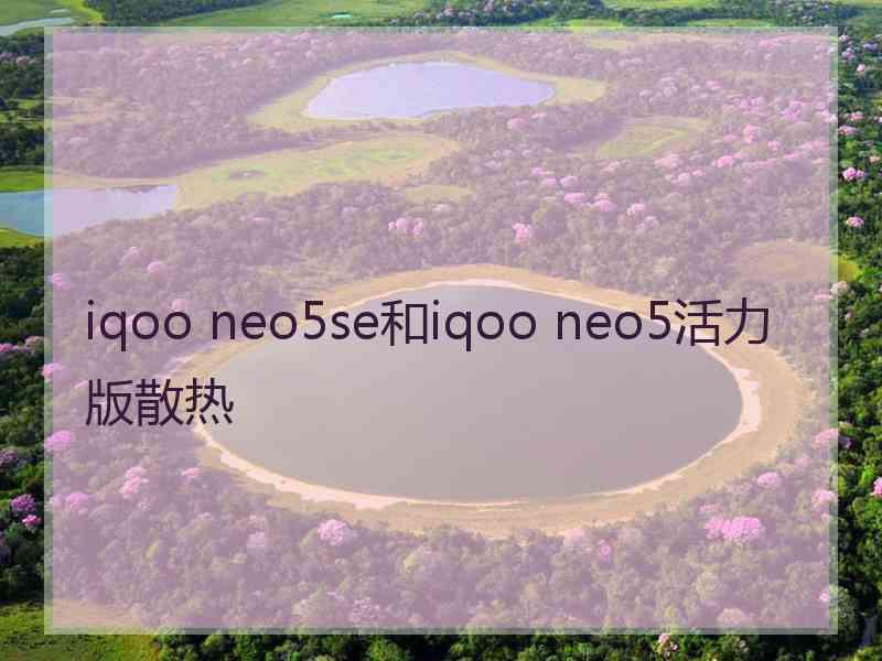 iqoo neo5se和iqoo neo5活力版散热