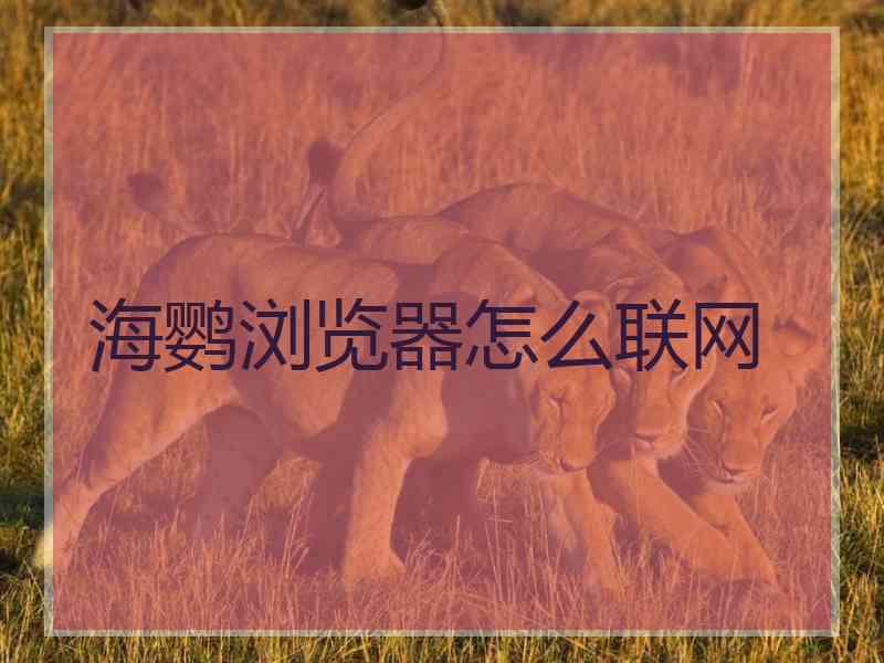 海鹦浏览器怎么联网