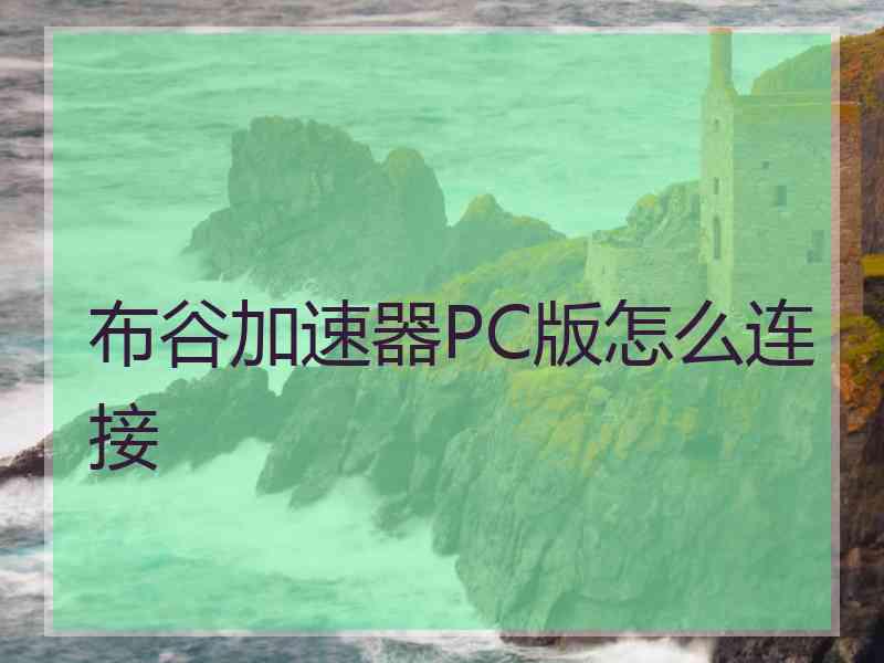 布谷加速器PC版怎么连接