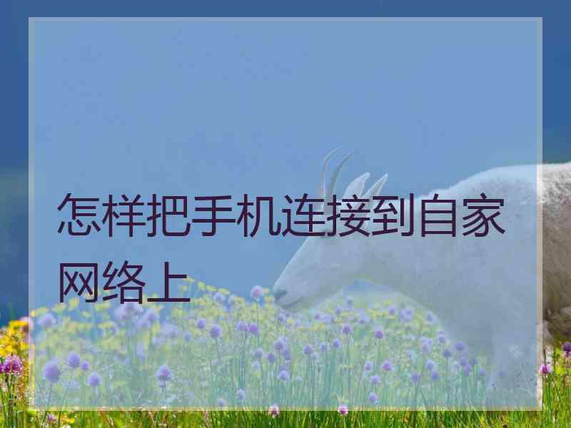 怎样把手机连接到自家网络上