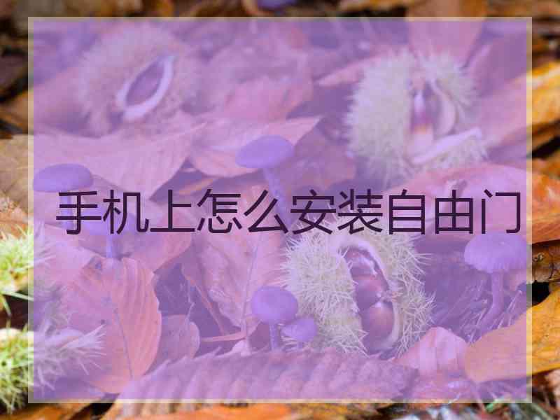 手机上怎么安装自由门