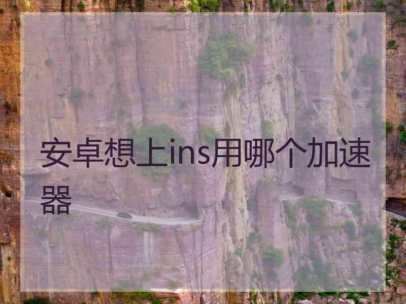 安卓想上ins用哪个加速器