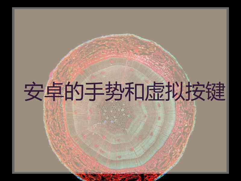 安卓的手势和虚拟按键