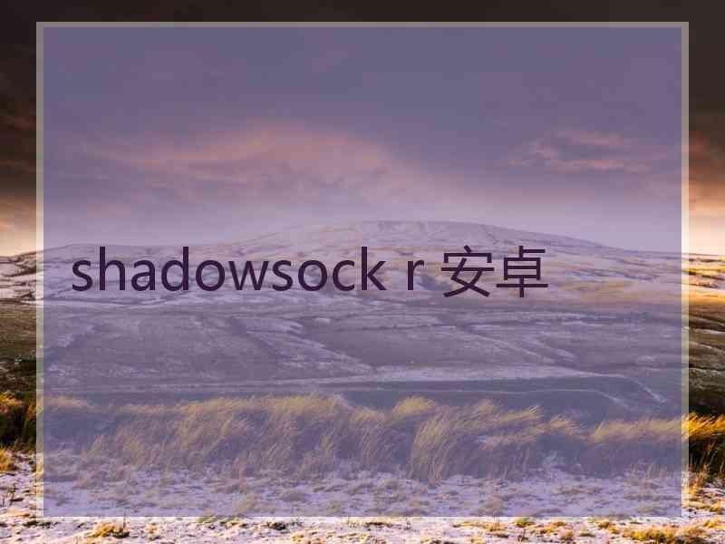 shadowsock r 安卓