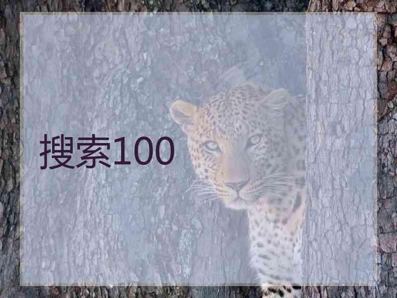搜索100