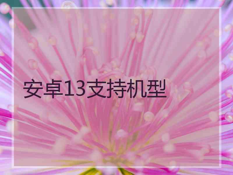 安卓13支持机型
