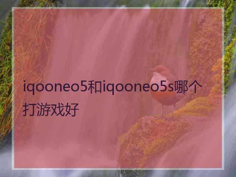 iqooneo5和iqooneo5s哪个打游戏好