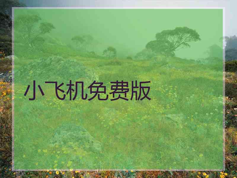 小飞机免费版