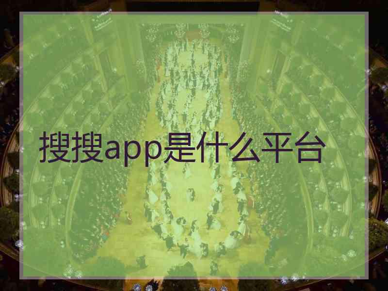 搜搜app是什么平台