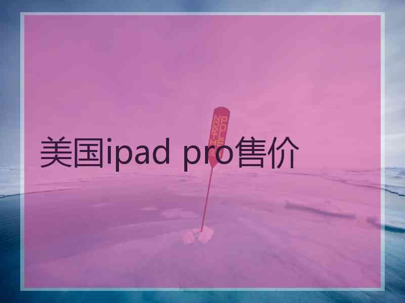 美国ipad pro售价