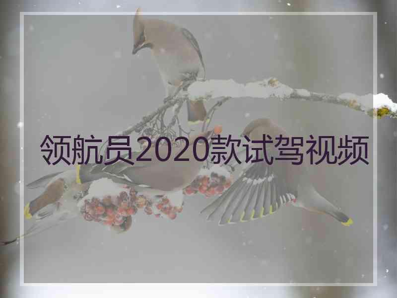 领航员2020款试驾视频