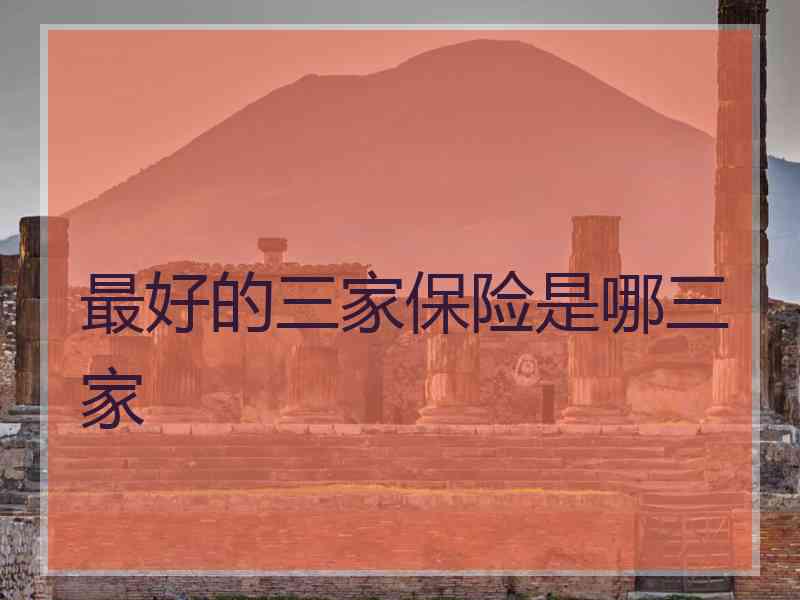 最好的三家保险是哪三家