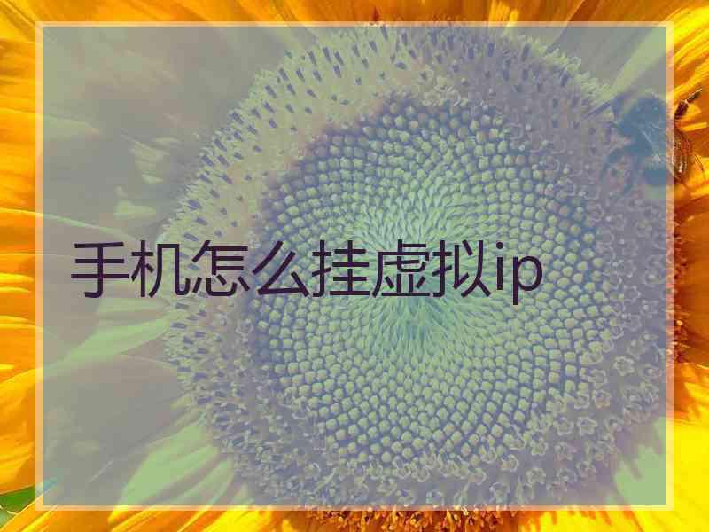 手机怎么挂虚拟ip