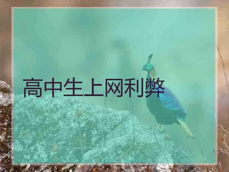 高中生上网利弊