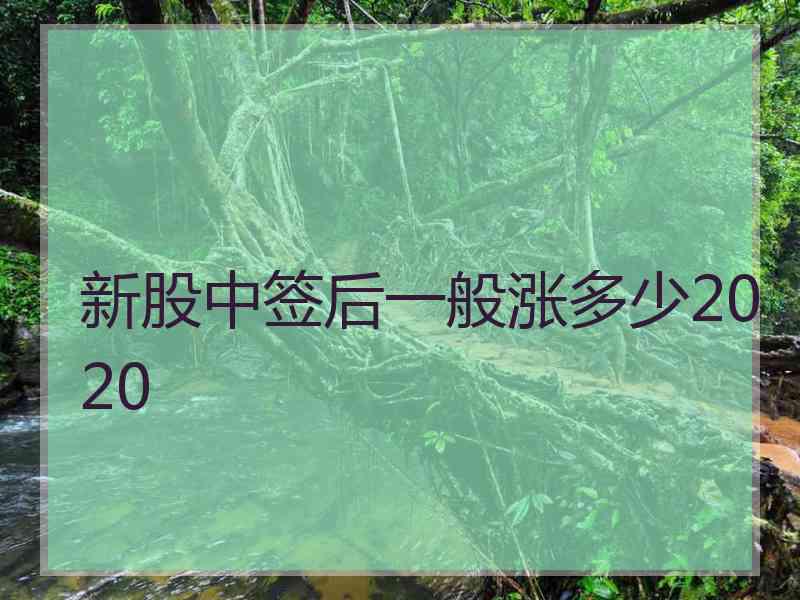 新股中签后一般涨多少2020