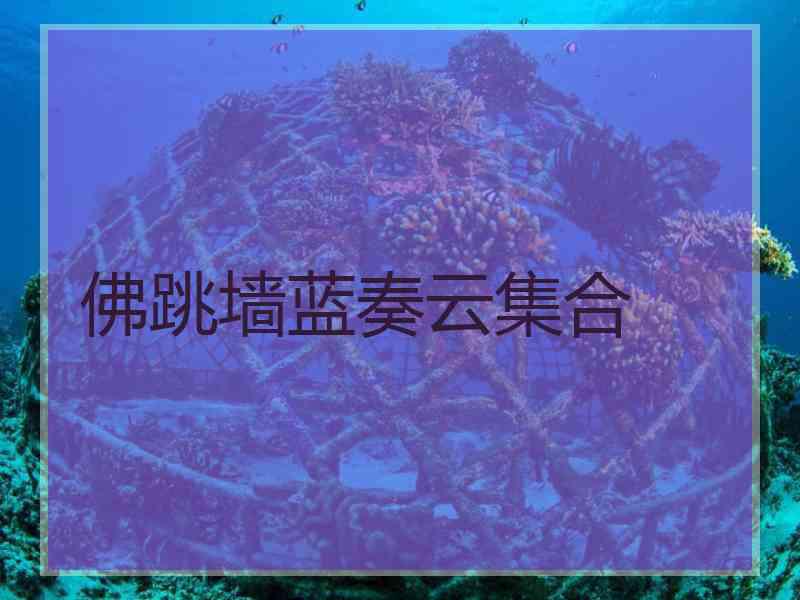 佛跳墙蓝奏云集合