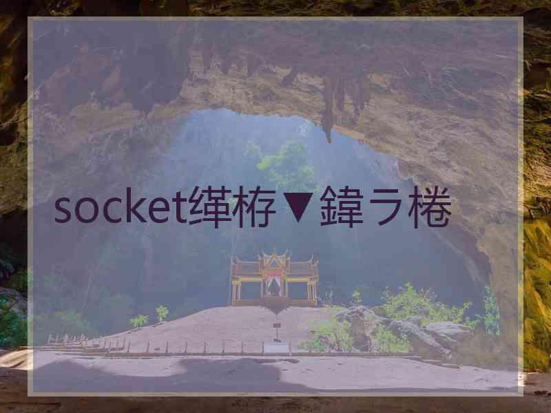 socket缂栫▼鍏ラ棬