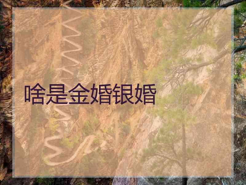 啥是金婚银婚