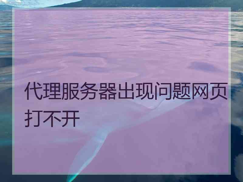 代理服务器出现问题网页打不开